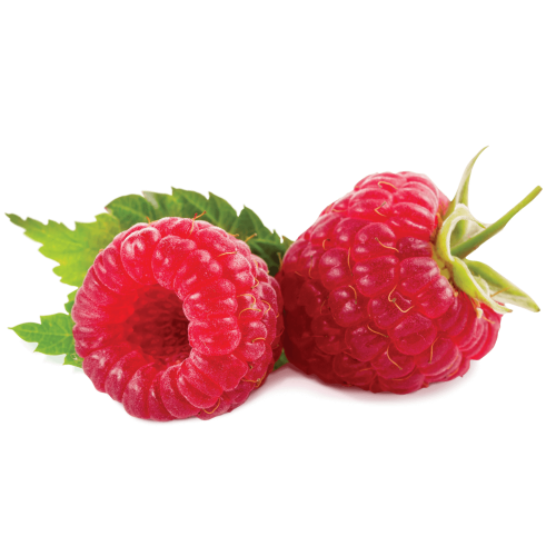 Raspberry V2 Capella Flavors smakessens LYF.se – Light Your Fire