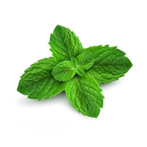 Spearmint