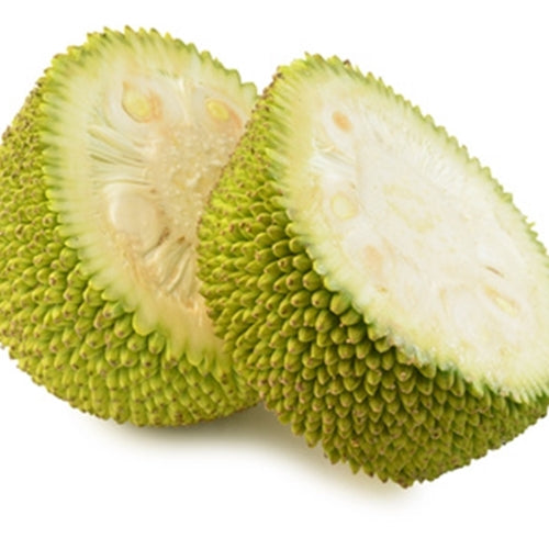 Jackfruit {TFA}